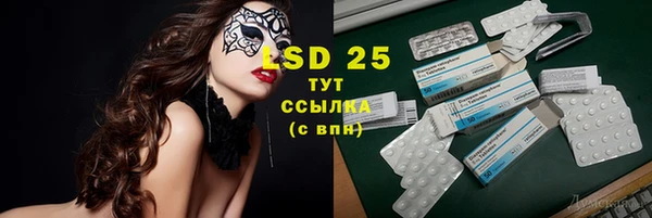 гашик Алзамай