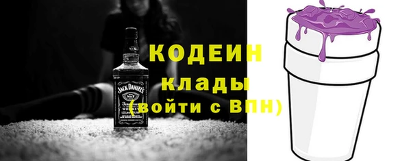 гашик Алзамай