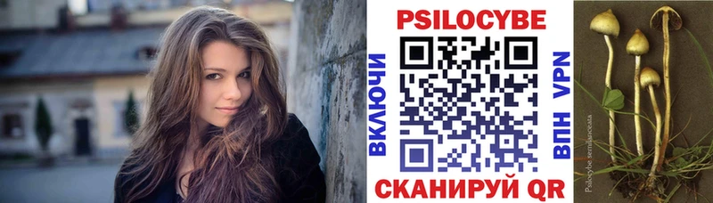 Псилоцибиновые грибы Cubensis  закладка  Трёхгорный 
